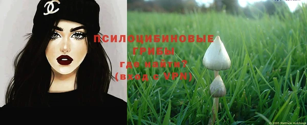 прущая мука Кодинск