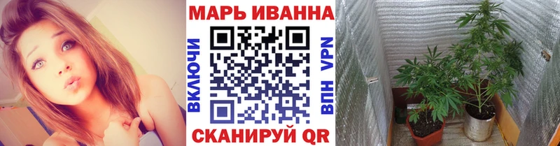 Конопля индика Костомукша